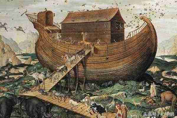 诺亚方舟是什么意思诺亚方舟是真的还是传说