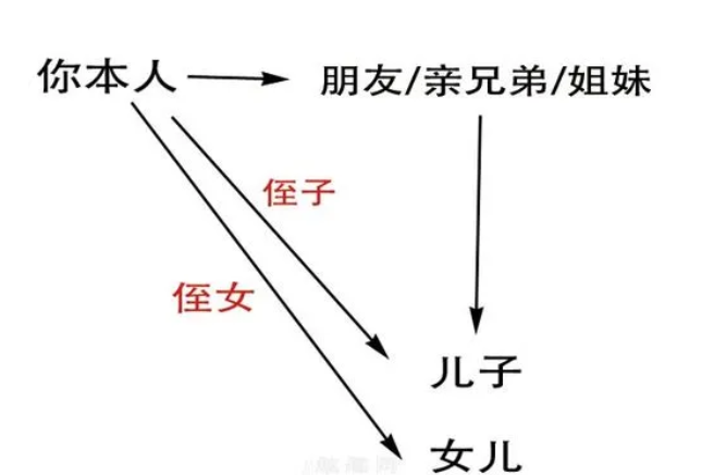 侄女和外甥女的什么区别(外甥女和侄女是一个意思吗)