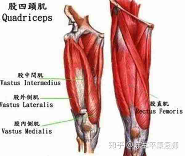 老年人膝关节疼痛是怎么回事（这样训练绝对有效）