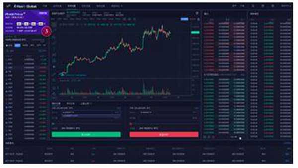 TOP Network一夜爆红，你想了解的10大信息全在这