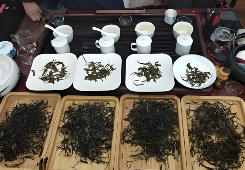 斗茶是什么文化（斗茶对茶文化发展的影响）