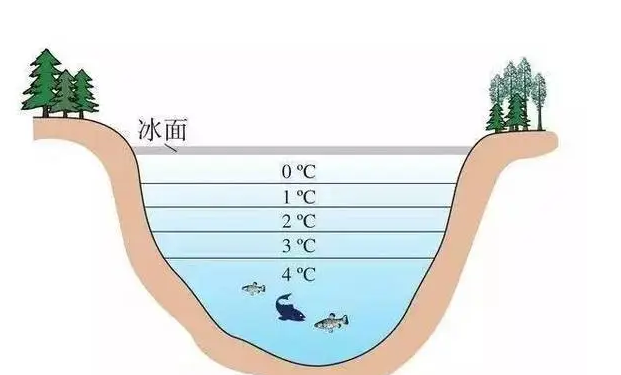 水在几摄氏度的时候密度最大(水温多少度密度最高)