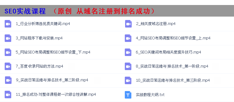 原创实战SEO优化教程(从域名注册到排名成功)+ 配套程序！