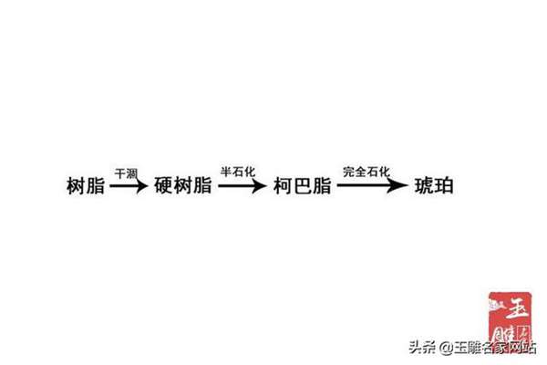 琥珀是怎么形成的？琥珀形成需要哪些阶段？