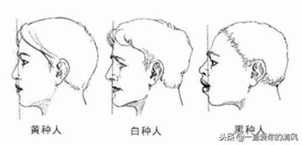 上牙齿有点龅牙怎么办(如何防止牙越来越外突)