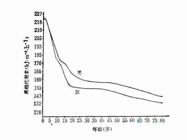 男人比女人减肥效果更好更快？女人对自己减肥这么狠是有原因的