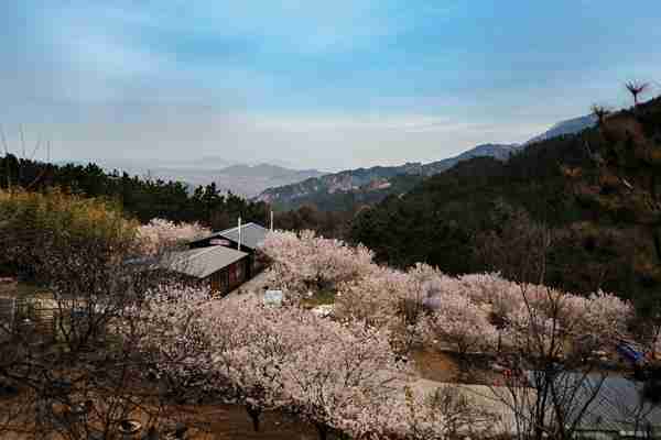 青岛哪里好玩 青岛景点介绍