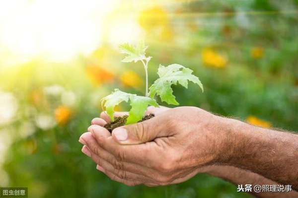 明知是骗局为何还是上当了？骗子这几招让你防不胜防！