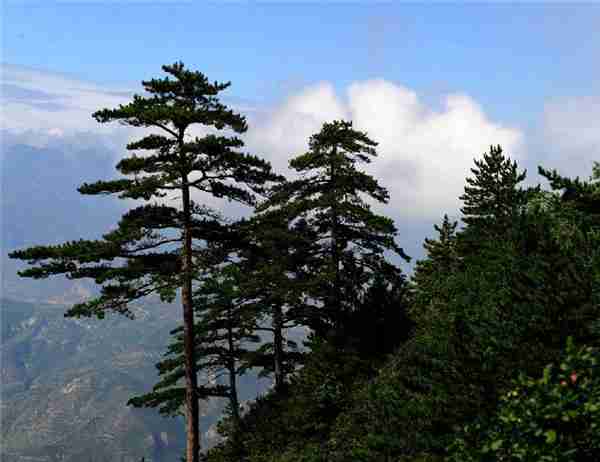 五岳中最不起眼的一座山——北岳恒山 你去过吗？