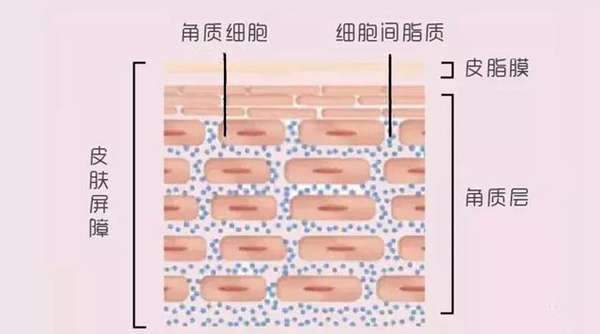 “孕妇专用”护肤品真没必要买，准妈妈们避开这 3 种成分就可以