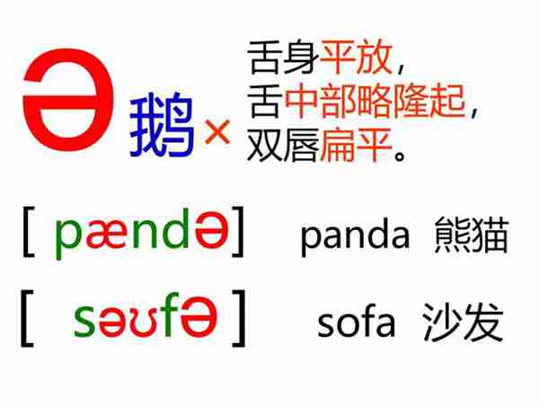 48个英语音标怎么读？这套音标卡片真清楚！