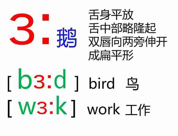 48个英语音标怎么读？这套音标卡片真清楚！