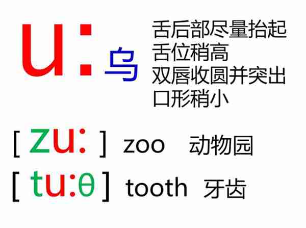 48个英语音标怎么读？这套音标卡片真清楚！