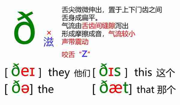 48个英语音标怎么读？这套音标卡片真清楚！