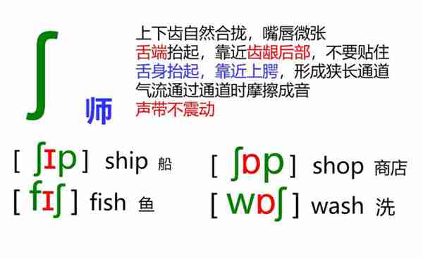 48个英语音标怎么读？这套音标卡片真清楚！