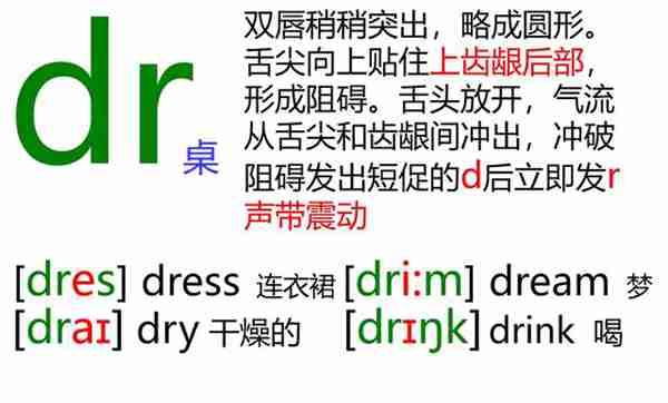 48个英语音标怎么读？这套音标卡片真清楚！