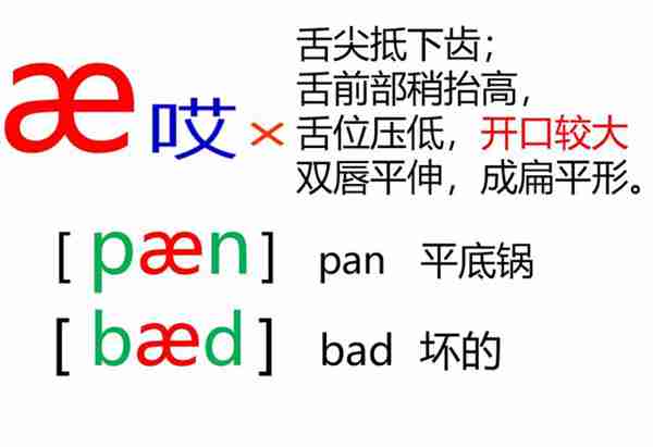 48个英语音标怎么读？这套音标卡片真清楚！