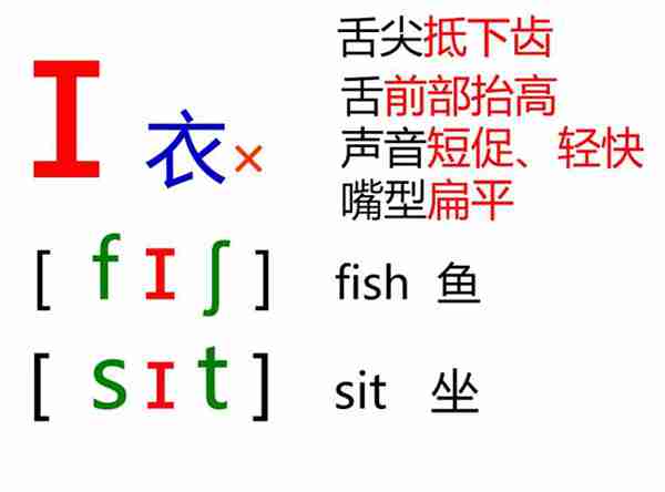 48个英语音标怎么读？这套音标卡片真清楚！