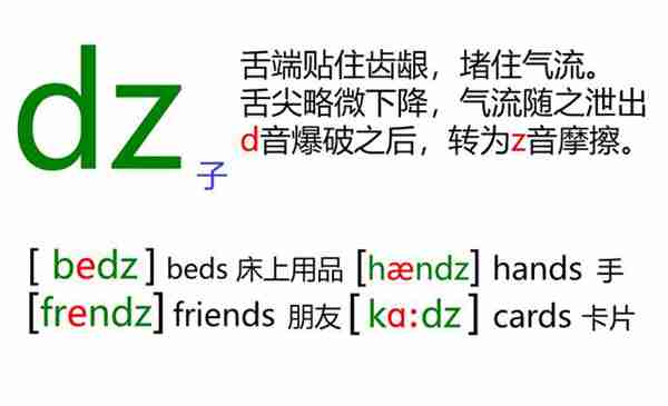 48个英语音标怎么读？这套音标卡片真清楚！