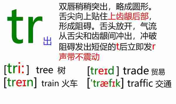 48个英语音标怎么读？这套音标卡片真清楚！