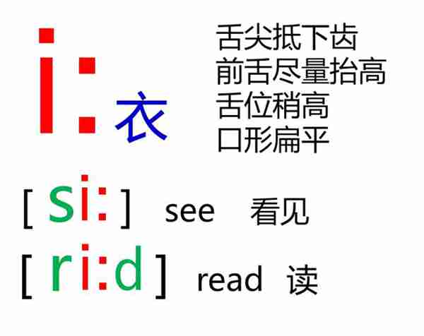 48个英语音标怎么读？这套音标卡片真清楚！