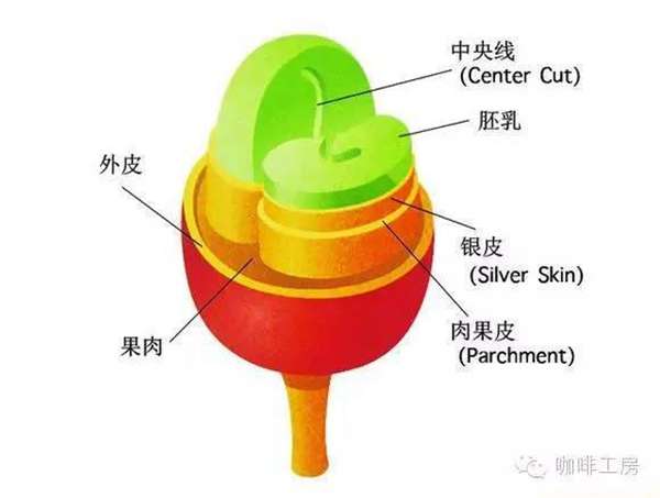 honey是什么意思（honey的中文意思是什么）