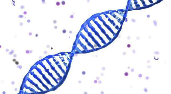 生物专业大学排名（高考优秀考生报考的最佳选择）