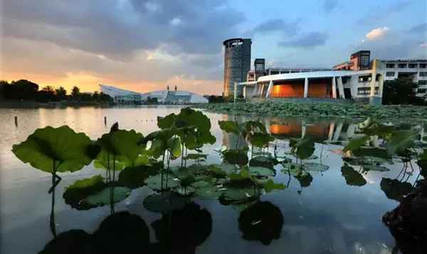 中国南方大学排名（南方哪些名校最好）