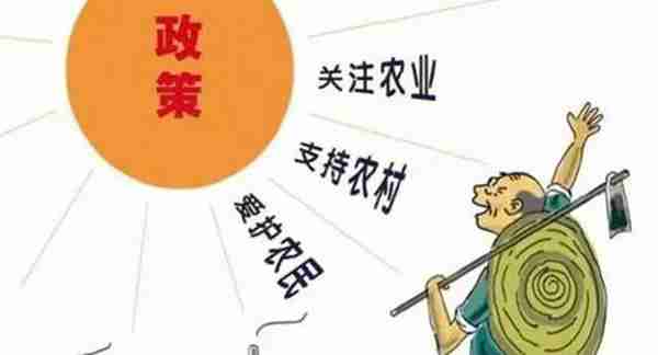 三农指的是什么（中国的三农主力军是什么）