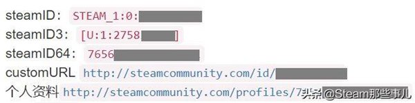 你的SteamID是……？别再傻傻分不清