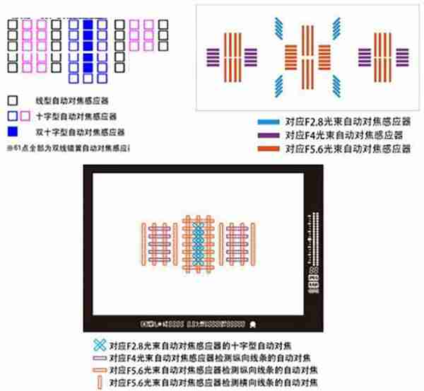 自动对焦是什么意思(自动对焦在相机上有什么用)