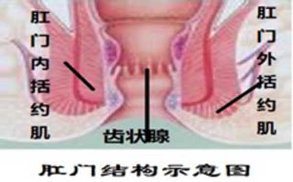 什么是肛瘘有哪些症状（肛瘘最全的治疗方案）