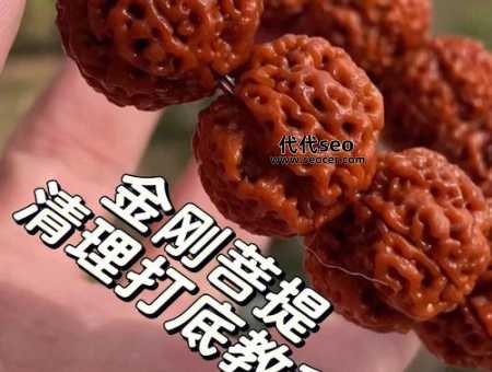 金刚菩提子怎么清理（金刚菩提子手串清洁方法）