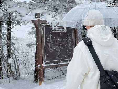 又名峨眉山站长网(怎么才能快速上手)