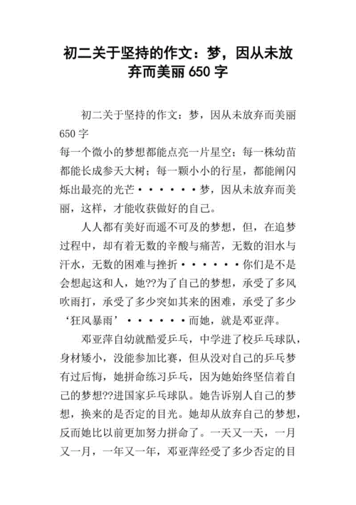 梦想照进现实观后感(您会选择坚持还是放弃)