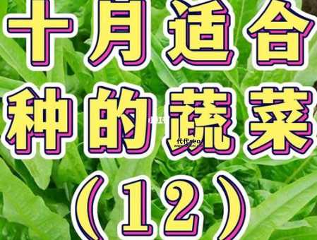 十月份种什么蔬菜赚钱(10月份可以种哪些蔬菜)