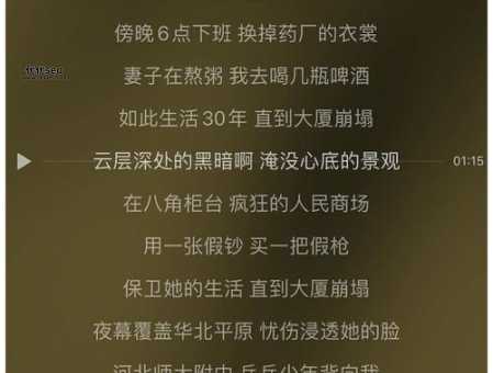 羊腰子之歌( 歌里唱的是啥)