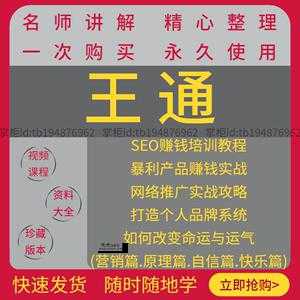 王通seo(普通人也能学吗)