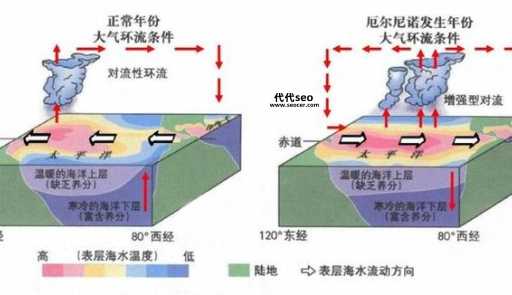 2024年是厄尔尼诺年吗(厄尔尼诺现象会带来什么影响)