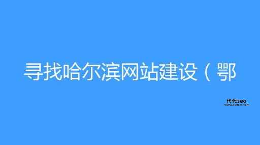 哈尔滨网站建设(如何打造高性价比网站)