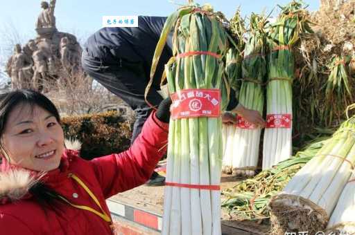 大葱能培育出葱黄吗？原来这样做就能长出嫩黄的葱