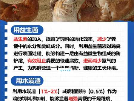 肉鸡养殖技术有哪些？新手养鸡必备这几招！