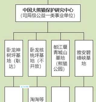 保护中国大熊猫数量，我们应该怎么做呢？