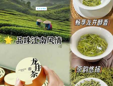 龙井茶叶的功效与作用，爱喝茶的你一定要了解！