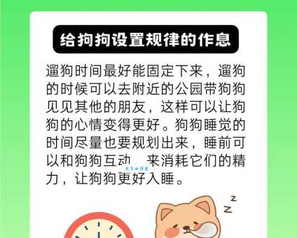 狗一般能活多久？怎样才能让狗狗陪伴我们更久呢？