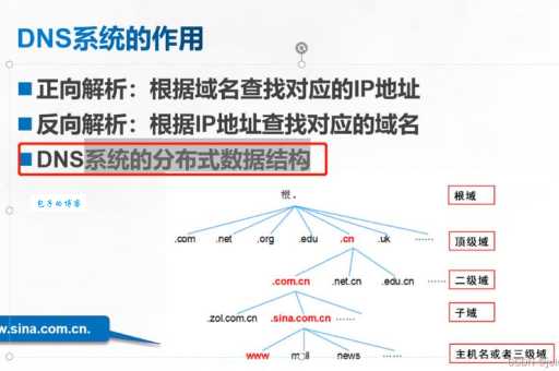 想知道如何通过IP地址反向查找域名？这几招很实用！