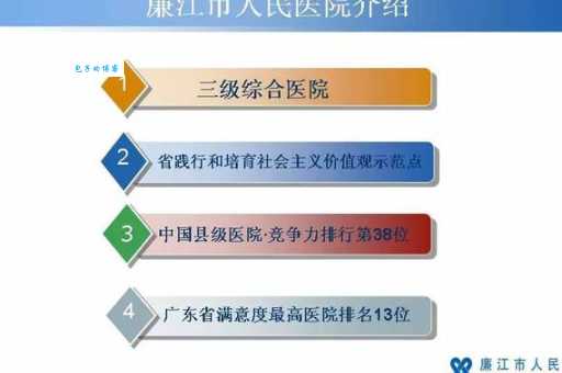 雷州一网怎么查？原来这么简单，赶紧收藏！