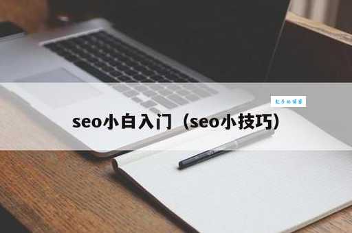 seo网站系统怎么选？新手小白也能快速上手！