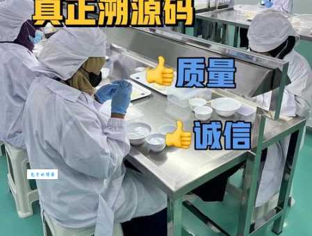 中企动力怎么样？服务质量和口碑究竟如何？