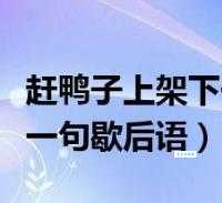 赶鸭子上架的下一句是啥？老司机来告诉你答案！